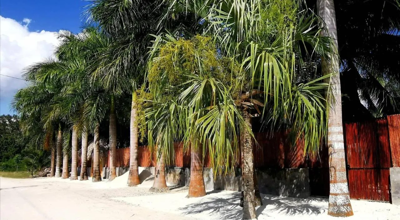Kanan Kej Aldea C/Alberca Διαμέρισμα Buenavista   Buenavista (Quintana Roo)